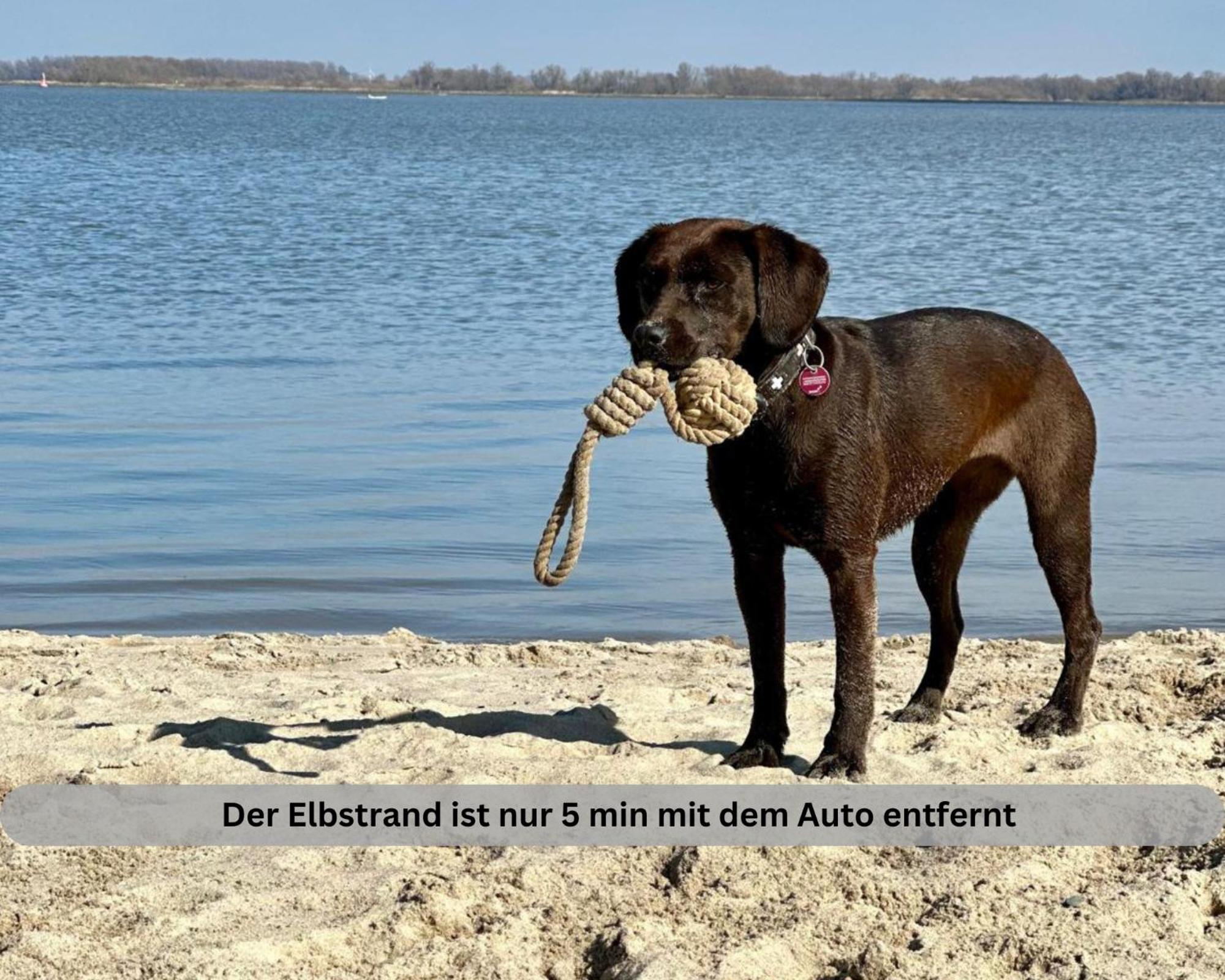 Lodge Of Africa - Einzigartige Themenzimmer, Eingezaeunten Garten, Sauna, Whirlpool & Kamin, Hunde Willkommen, Gasgrill, Voll Ausgestattete Kueche, Grosser Essbereich, Hamburg & Stade In Der Naehe Twielenfleth Eksteriør bilde