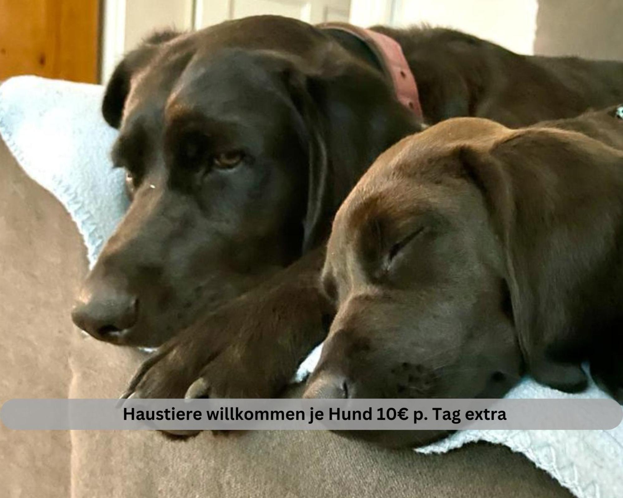 Lodge Of Africa - Einzigartige Themenzimmer, Eingezaeunten Garten, Sauna, Whirlpool & Kamin, Hunde Willkommen, Gasgrill, Voll Ausgestattete Kueche, Grosser Essbereich, Hamburg & Stade In Der Naehe Twielenfleth Eksteriør bilde